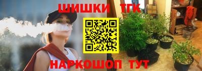 apvp Моздок