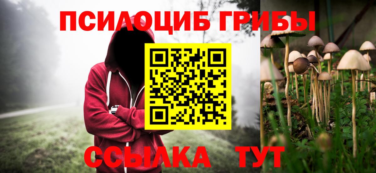 Галлюциногенные грибы ЛСД  как найти наркотики  Псилоцибиновые грибы Magic Shrooms  Сосновый Бор  Вход с VPN 