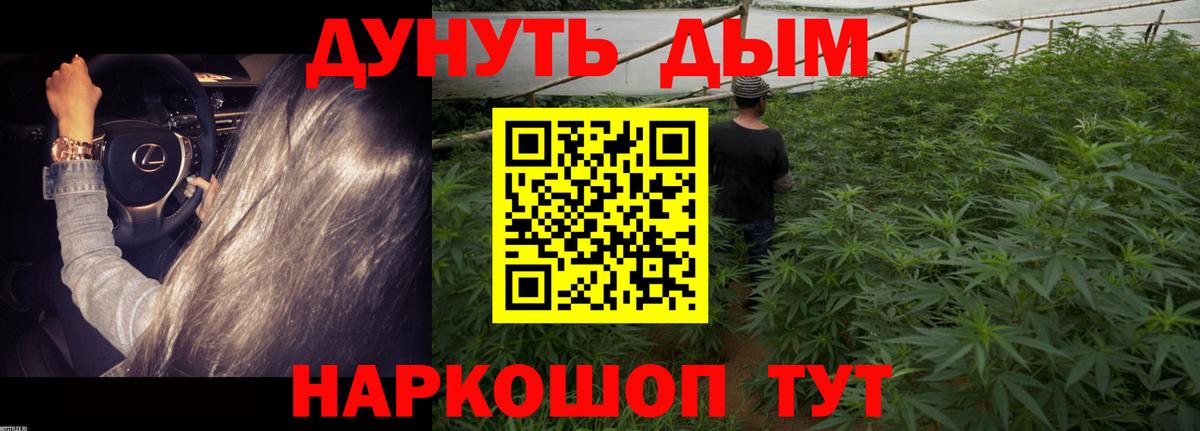 Бошки марихуана семена Сосновый Бор